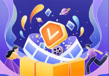 B站年度大会员货源策略分析